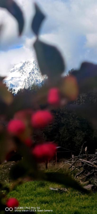 Mlyn Tatry Leilighet Veľký Slavkov Eksteriør bilde