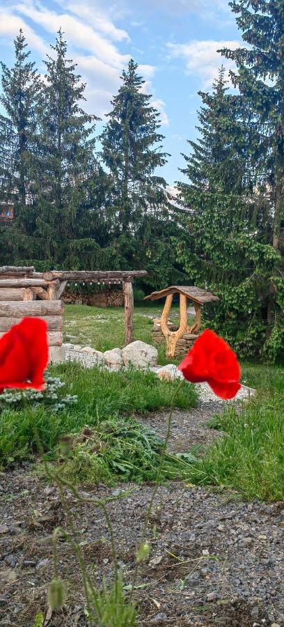 Mlyn Tatry Leilighet Veľký Slavkov Eksteriør bilde